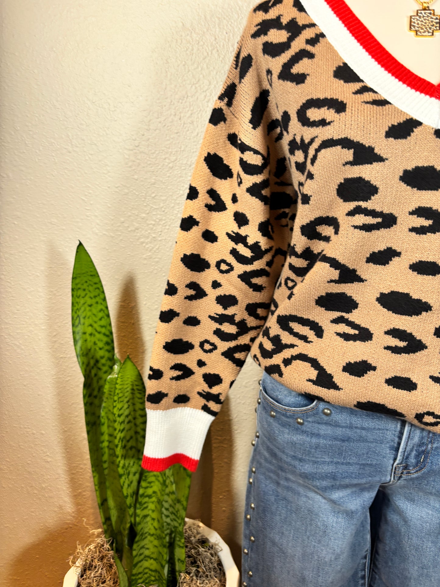 Leopard Pattern Rib Knitted Sweater