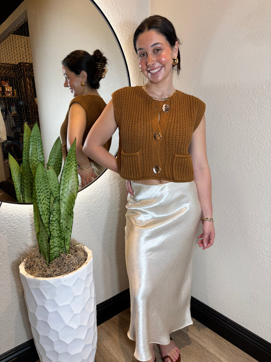 Shimmery Long Skirt
